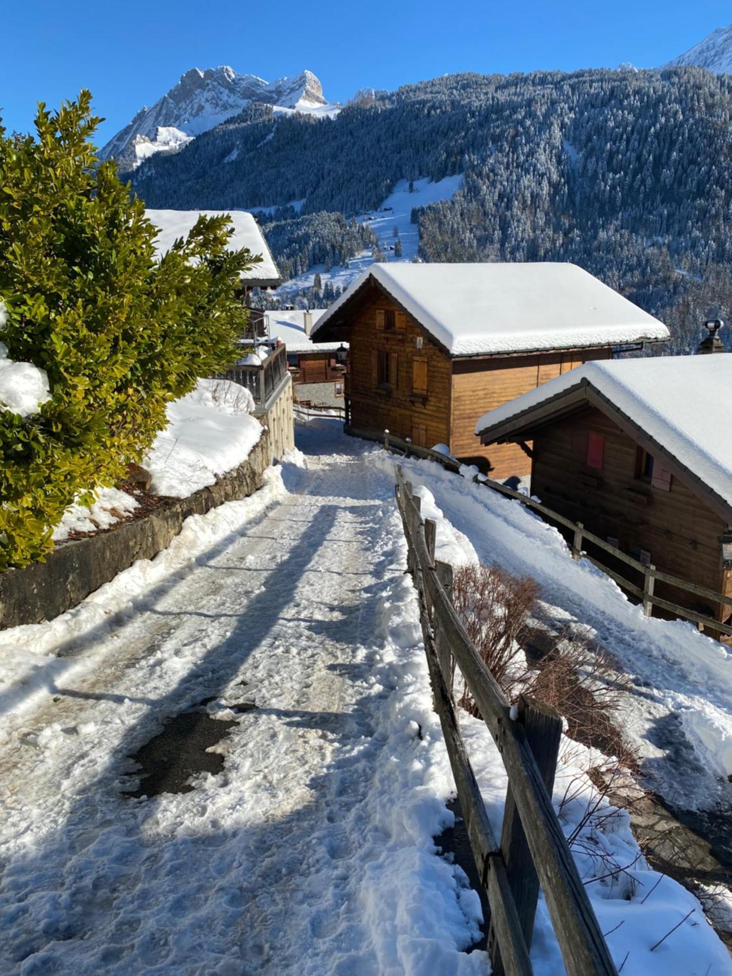 Appartement L'adret, 3,5 Pieces Dans Les Combles.