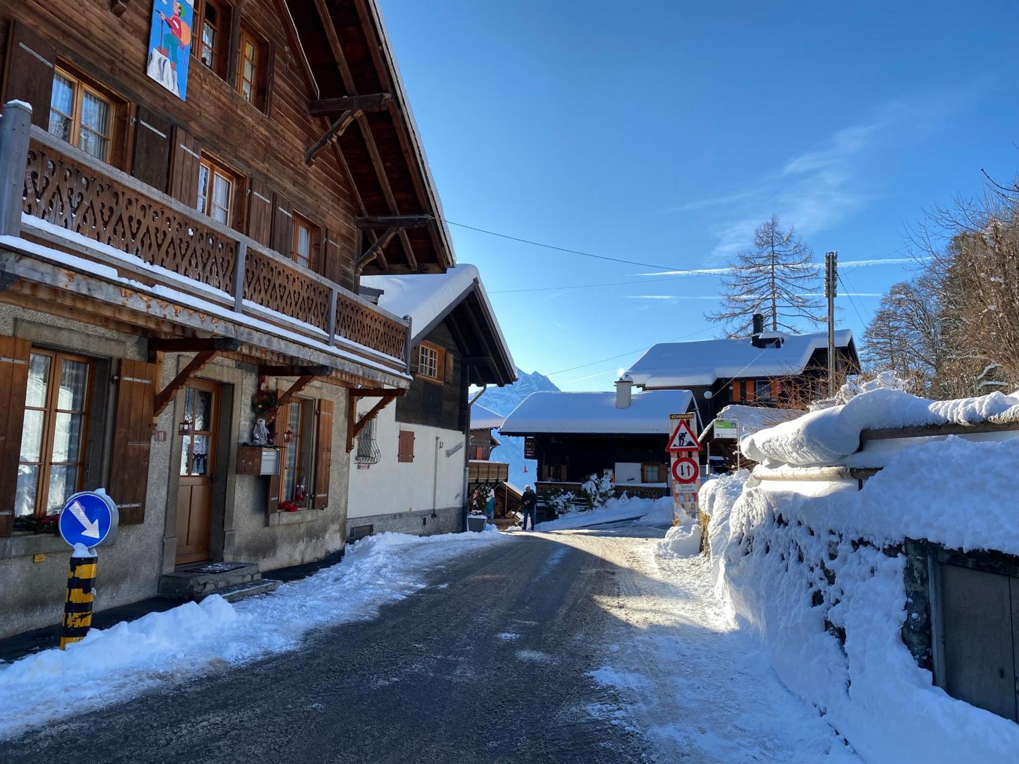 L'adret, 3,5 Pieces Dans Les Combles. Appartement Gryon